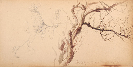 Ausstellung Familie Friedrich Ausstellung Familie Friedrich