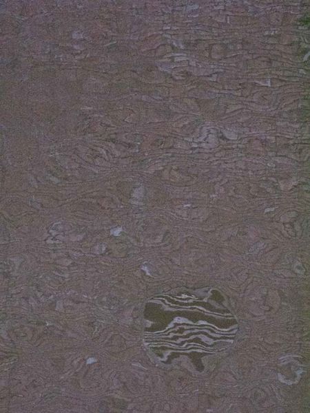 Hoffmann, 130523, Photographie Hoffmann, 130523, Photographie